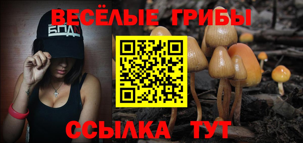 Галлюциногенные грибы Psilocybe  Псилоцибиновые грибы мухоморы  Вход с VPN  Глазов 